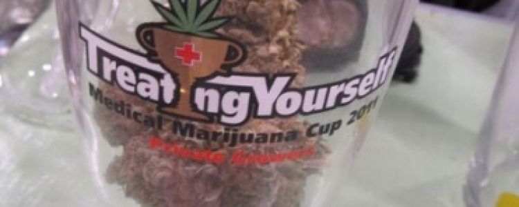 Read more about the article BC Bud Depot Wins At The 2011 Treating Yourself Medical Cup !