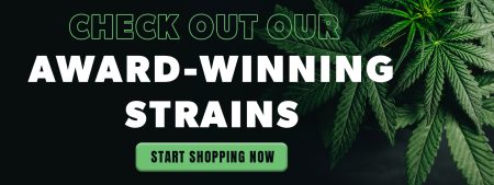 BCBD-BANNER