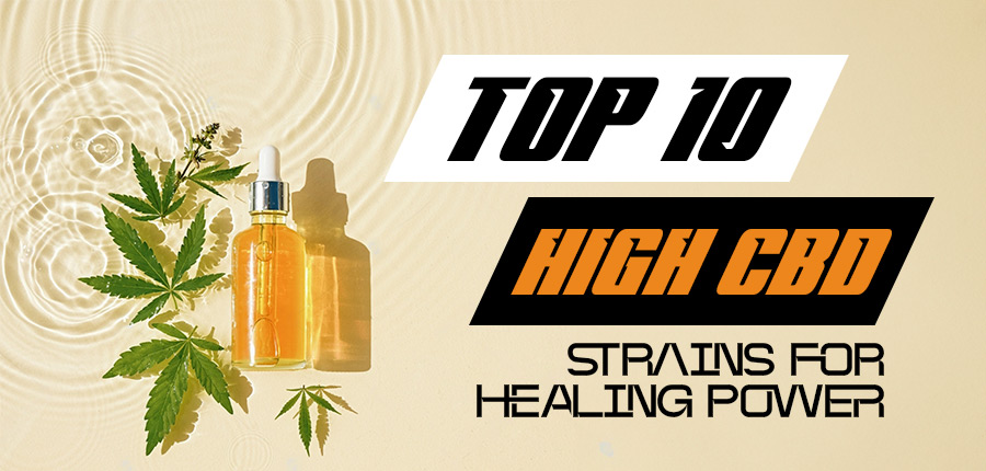 Read more about the article Top 10 High CBD Strains for Healing Power!