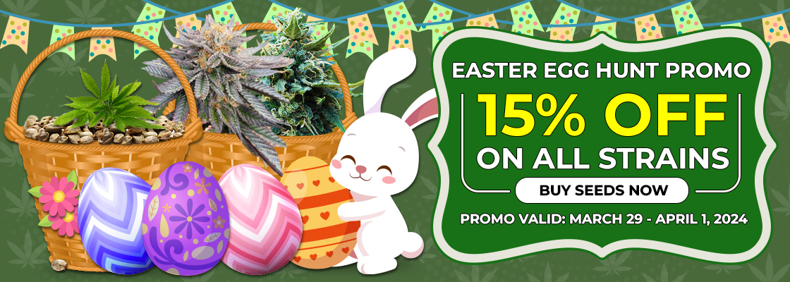 Happy Easter Promo 15% OFF