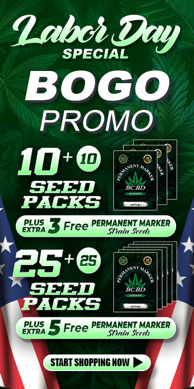 Labor Day Promo