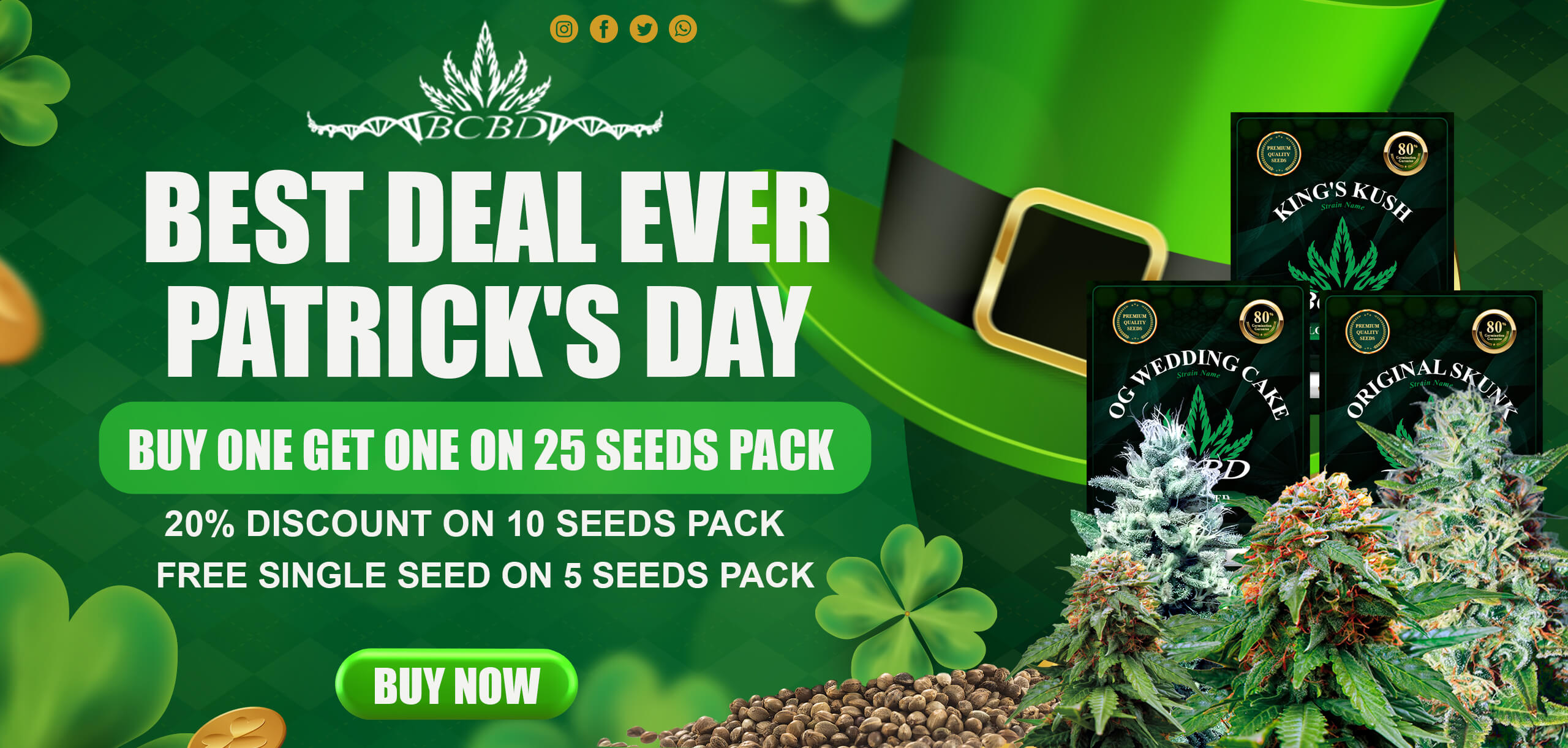 St. Patrick Promo
