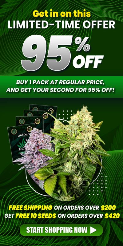 95%-OFF-PROMO--default banner -Mobile