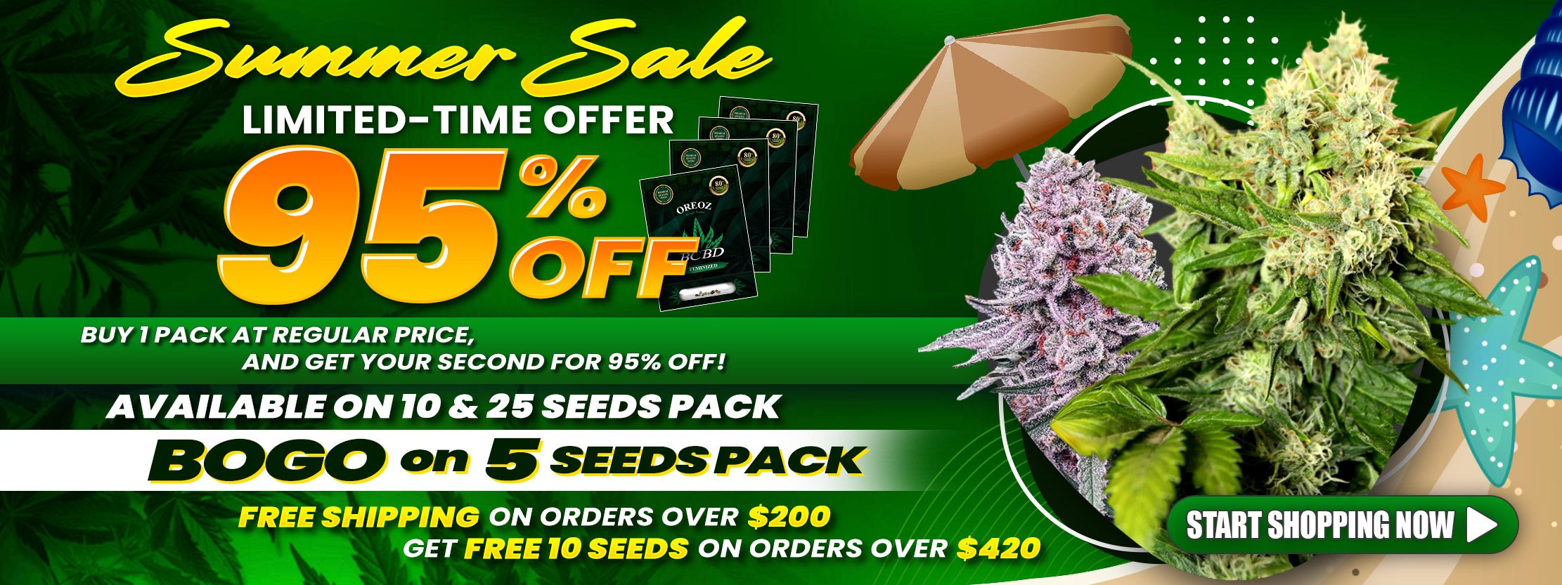 SUMMER-SALE-BCBD-Desktop
