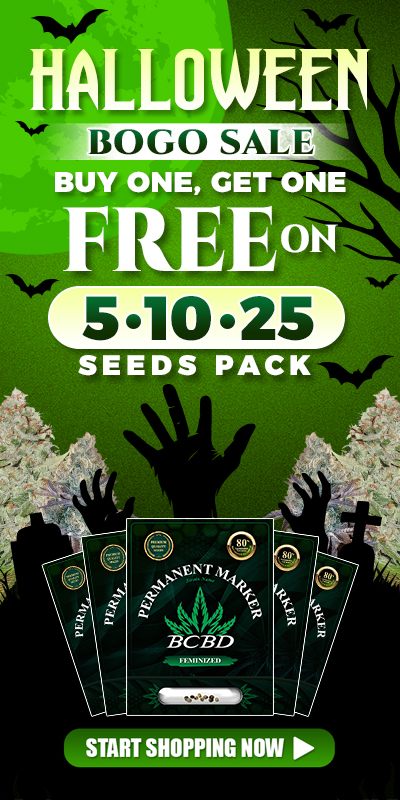 HALLOWEEN-SALE-BCBUDDEPOT--Mobile