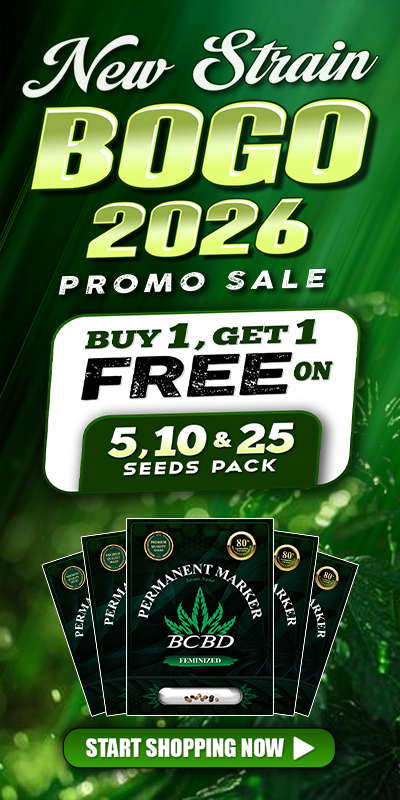 NEW-STRAINS-2026-Mobile