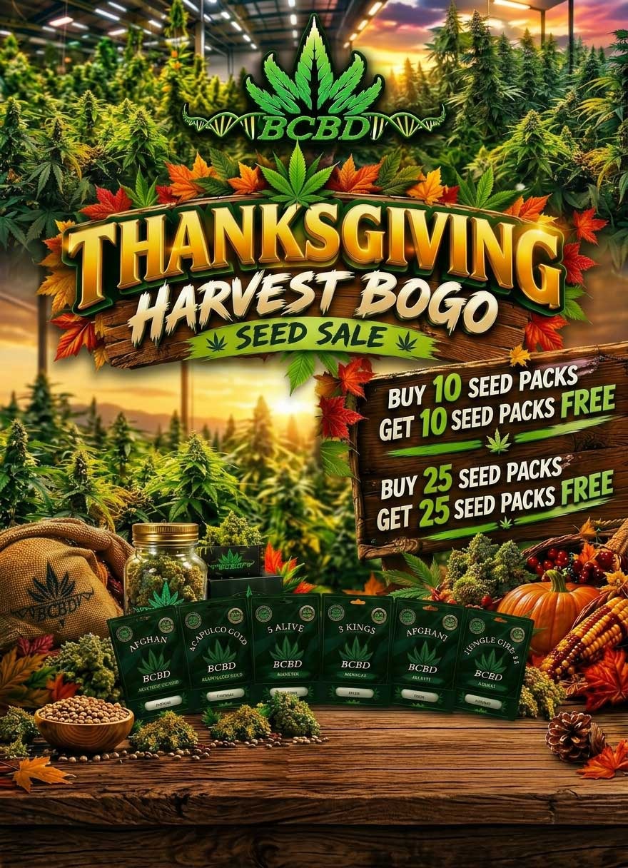 bcbuddepot thanksgiving