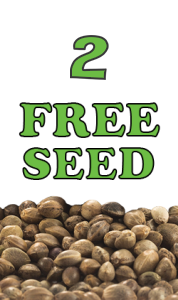 2 Free Extra Seeds