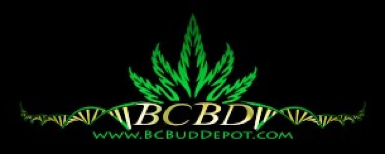Read more about the article BC Bud Depot Products Now at Evolution Medical Solutions!